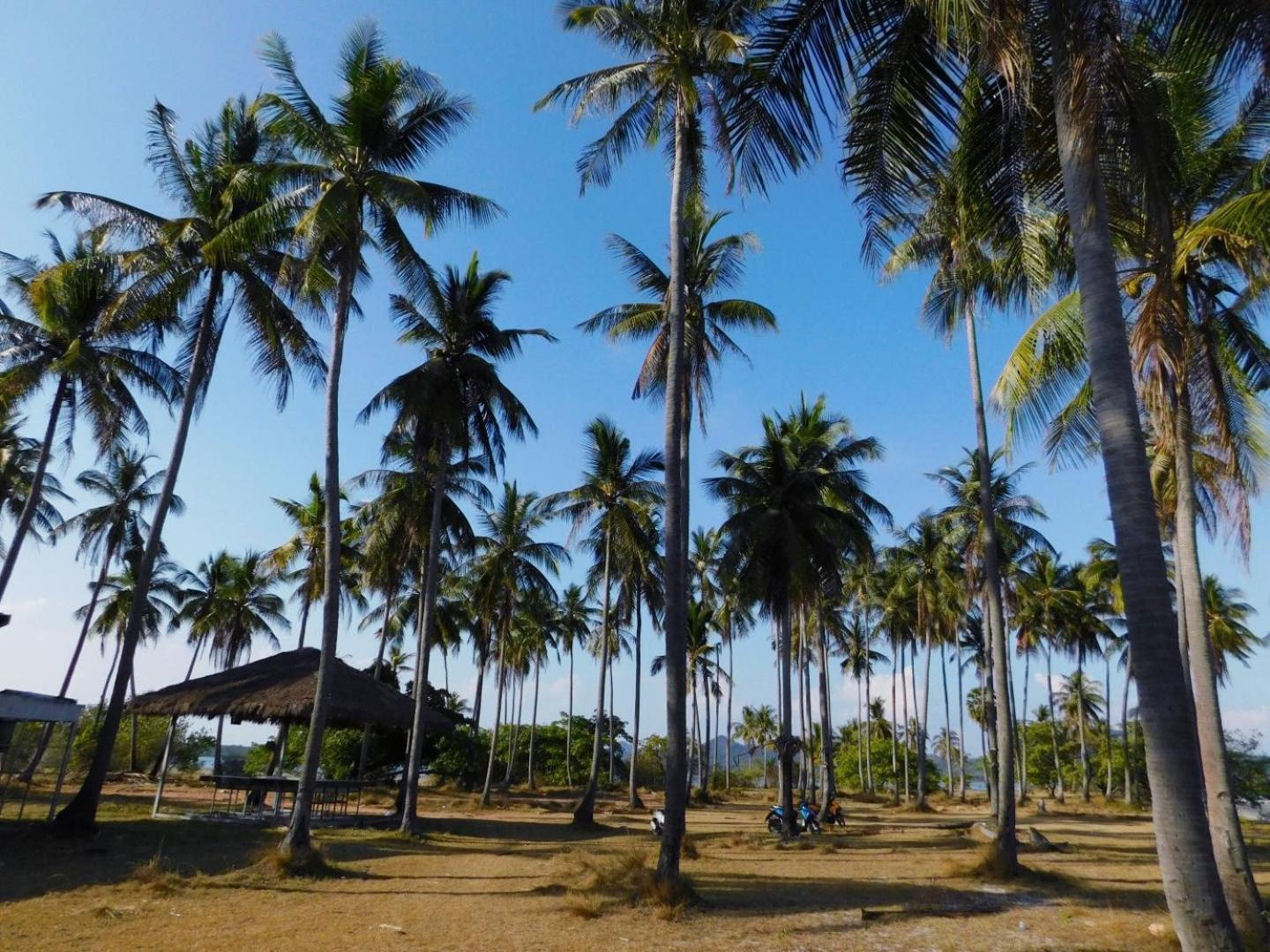 Swiss Bonihouse Koh Yao Yai Hotel Ban Phlu Nai ภายนอก รูปภาพ