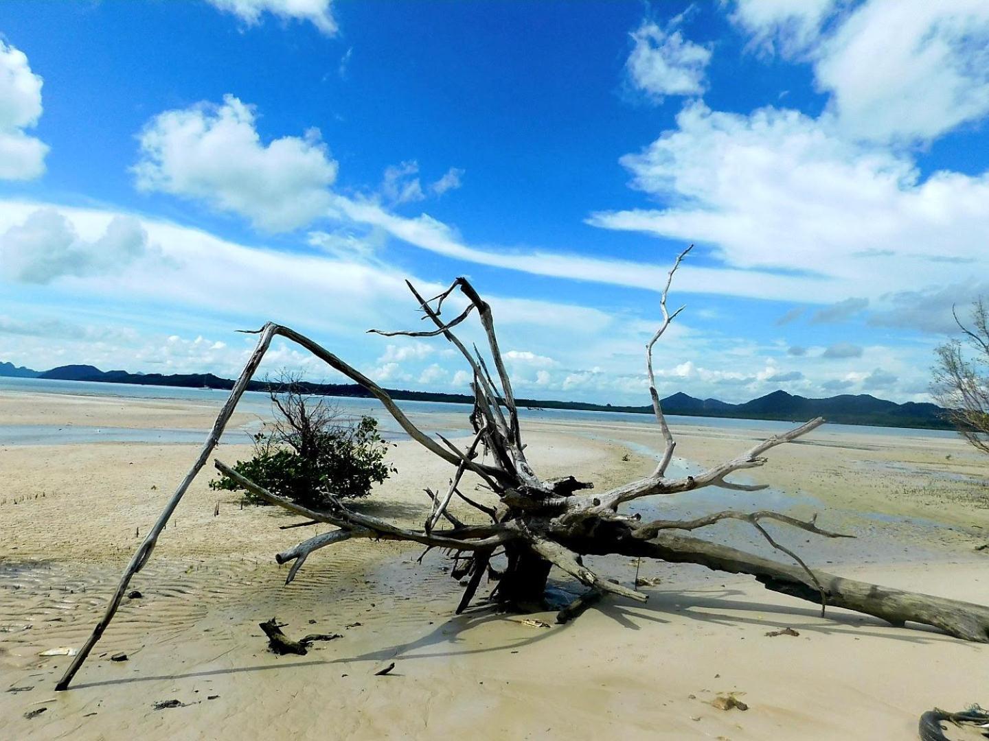 Swiss Bonihouse Koh Yao Yai Hotel Ban Phlu Nai ภายนอก รูปภาพ
