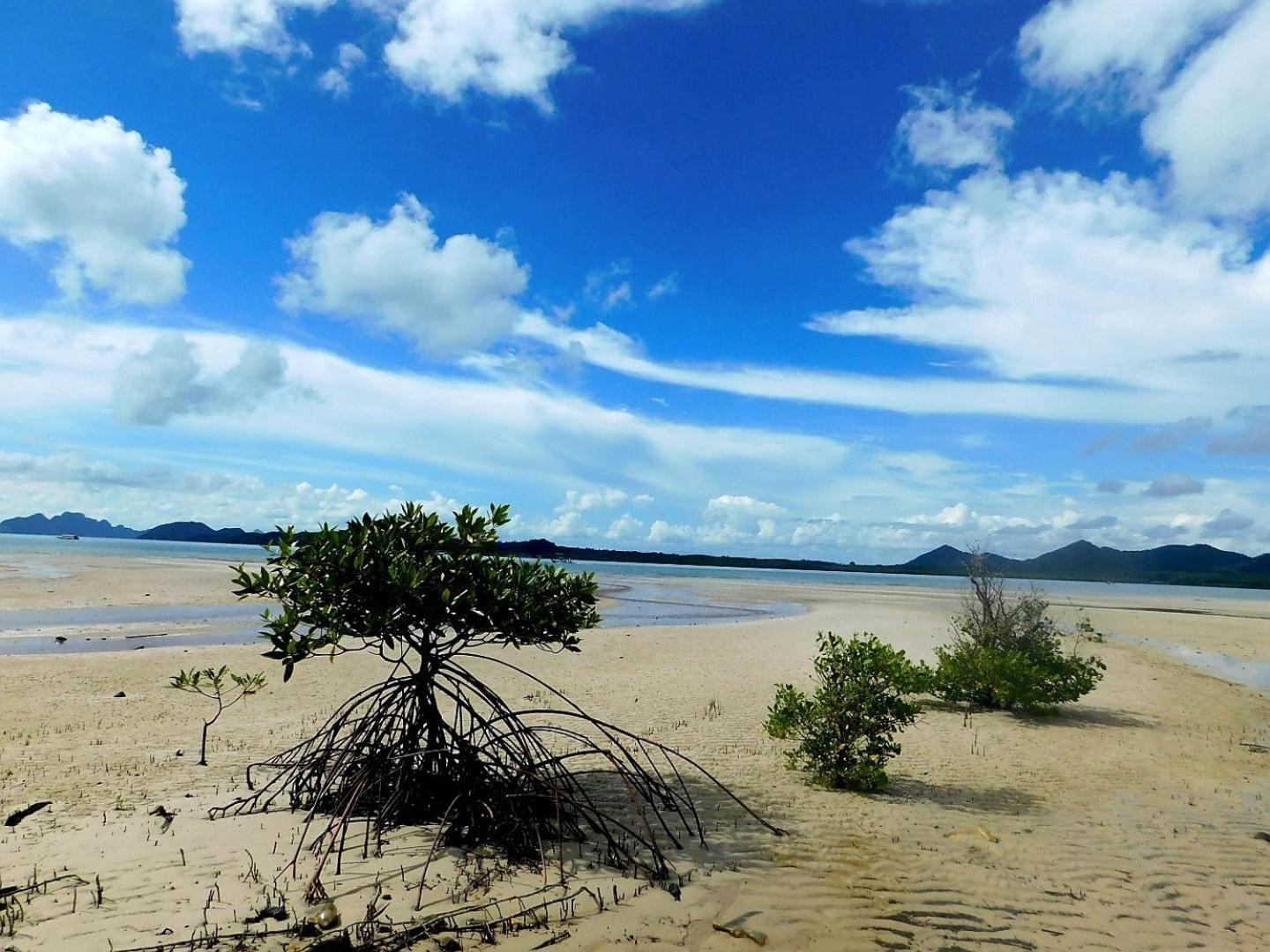 Swiss Bonihouse Koh Yao Yai Hotel Ban Phlu Nai ภายนอก รูปภาพ