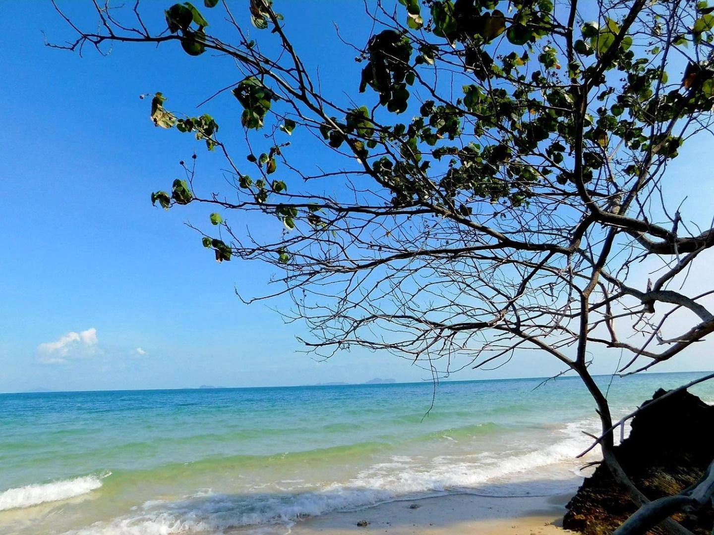 Swiss Bonihouse Koh Yao Yai Hotel Ban Phlu Nai ภายนอก รูปภาพ